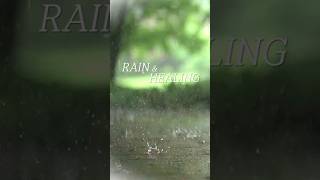 [비와음악]1분간 쉬어가세요 #명상 #힐링 #멍때리기 #비와 음악#치유음악 #yoga music #rain