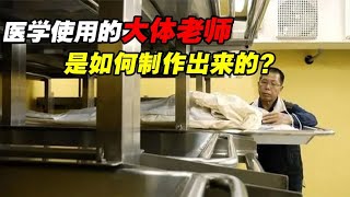 什么是大体老师？医学和科普用的大体老师，是如何制作出来的？