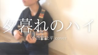 100日後に聴かせたいウクレレ  小山田壮平/夕暮れのハイ   cover