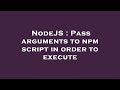 NodeJS : Pass arguments to npm script in order to execute