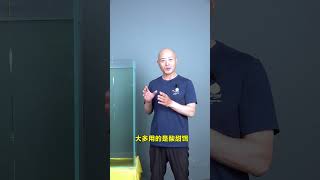 抽鲢鳙时，为啥钓的白鲢多花鲢少？#shorts #钓鱼