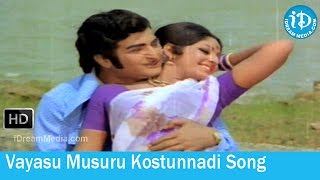 Yamagola Movie Songs - Vayasu Musuru Kostunnadi Song - NTR - Jayapradha
