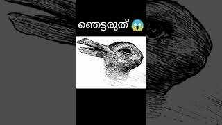 What do you see in this image😱 | ഇത് കണ്ടു ഞെട്ടരുത്‼️ | Facto Hanan