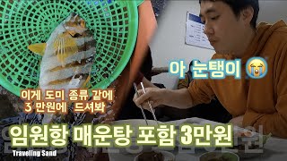 삼척 임원항 매운탕 포함 한상 푸짐하게 3 만원. Sam chuk Imwon fish market 30,000 is enough