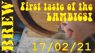 BREW - First Lambic Tastings, and a CO2 bottle dilemma.