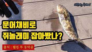 [ 서민낚시 400회 ] 문어채비로 쥐놀래미 잡아봤~나?  특이한 서민이...