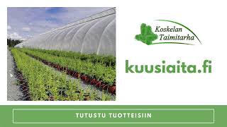 Tutustu tuotteisiin - kuusiaita.fi