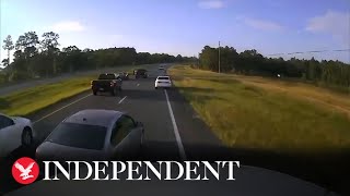 Turtle causes multi-car pile up after driver stops to let it cross Florida highway