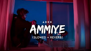 Ammiye (Slowed + Reverb) Aden | Dilshad | Latest Punjabi Songs 2024 | Jot Music