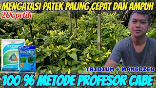 Cara ampuh dan cepat atasi patek metode profesor cabe