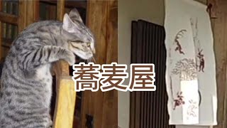 蕎麦屋／中島みゆき［歌ってみた］歌詞付