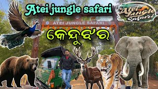 ଅଟେଇ ଜଙ୍ଗଲ ସଫାରୀ କେନ୍ଦୁଝର || Wild Animal Safari || Tiger Odisha | Deer Odisha|@JAPUARABPETVLOG