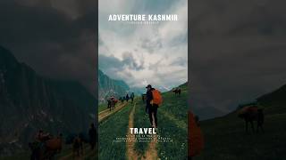 Best Kashmir tour package  call 9622727969 #trending #viralvideo #kashmir #travel #youtubeshorts