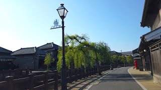 日曜朝ドラ【佐原市街〜小野川沿い川岸通り〜香取神宮〜道の駅 水の郷さわら】利根川を行く【2021年4月11日】Driving along the TONEGAWA River -CHIBA Drive