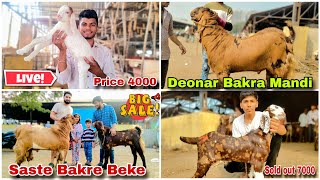 Deonar Bakra Mandi Latest Updated Saturday Market  Acchi Quality ke Badi Aur Saste Bakre Ka Lot