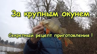 Зимний спиннинг. Окунь на наноджиг. Новый рецепт приготовления.