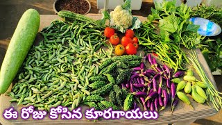 ఈ రోజు హార్వెస్ట్ లో ఏమేమి కోసామో చూడండి |Terrace garden harvests @homemakerstrategy