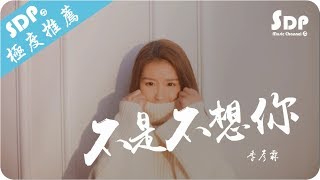 季彥霖 - 不是不想你「高音質 x 動態歌詞 Lyrics」♪ SDPMusic ♪