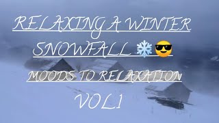 Relaxing 💨 Winter Storm Ambience with Icy Howling Wind Sounds for Sleep, Relaxing and Studying|Vol.1
