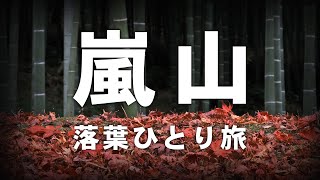 【京都嵐山ひとり旅】渡月橋の紅葉・天龍寺の落葉・お寺巡りVLOG