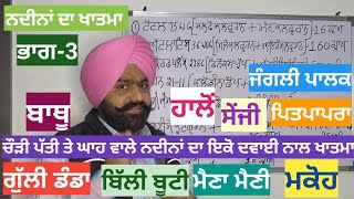 ਗੁੱਲੀ ਡੰਡਾ ਤੇ ਚੌੜੀ ਪੱਤੀ ਨਦੀਨ ਬਾਥੂ ਪਾਲਕ ਹਾਲੋਂ ਸੇਂਜੀ ਪਿਤਪਾਪਰਾ ਮੈਣਾ ਹਾਲੋ ਮਕੋਹ ਦਾ ਇਕੋ ਦਵਾਈ ਕਰੇਗੀ ਖਾਤਮਾ