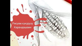 Рисуем кукурузу простым карандашом!