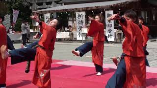 伊澤屋　律動　秦野元気まつり　定点