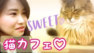 可愛いすぎ♡猫カフェ行って癒されてきました♪【ma--boo× 田中愛さん ×スイーツちゃんねる☆あんみつさん】