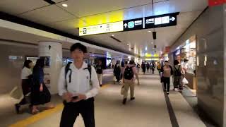 【TBCグランスタ丸の内】東京駅丸の内地下北口から東京ビジネスクリニック グランスタ丸の内までの道順