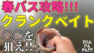 浮いた春バスをクランクベイトで攻略してみた！！【バス釣り】