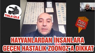 HAYVANLARDAN İNSANLARA GEÇEN HASTALIK ZOONOZ’A DİKKAT