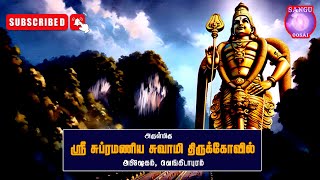 ஸ்ரீ விநாயகர்,காளியம்மன் ஸ்ரீ பாலதண்டாயுதபாணி முருகர் கோவில் அபிஷேகம் /GOD/HINDU TEMPLE