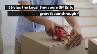 Best SME Loans for Small Businesses in Singapore 2022