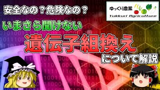 【ゆっくり解説】安全？危険？遺伝子組み換え技術について解説