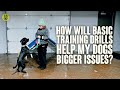 How Will Basic Training Drills Help My Dogs Bigger Issues?