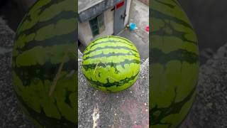 Experiment: Will a watermelon explode if it rolls down from a tall building?#shorts