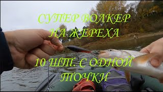 СУПЕР РЫБАЛКА НА ЖЕРЕХА \ 10 ШТУК С ОДНОЙ ТОЧКИ \ #самодельныеприманки #жерех #волкер #рыбалка