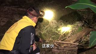 【山野小刚】小伙弹弓一打一个准，一发干掉一只老鼠，偷吃我家香蕉总算逮到了10.8万次观看