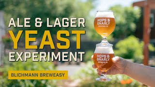 Ale & Lager Yeast Experiment | Blichmann BrewEasy | EP29