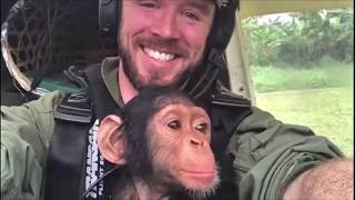 Pilot rescues baby chimp in Zenith STOL