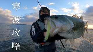 寒い冬をアツくする釣りを公開！！【琵琶湖 おかっぱり 冬】