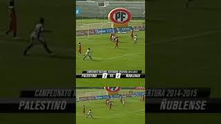 Golazo Leonardo Valencia en empate de Palestino ante Ñublense - Apertura 2014-2015