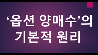 '옵션 양매수'의 기본 원리와 활용