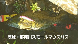 yasu 那珂川スモールマウスバス釣り茨城2017年6月メガバスワンテン BIGBASSFISHING