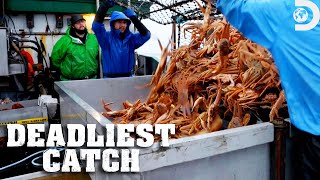 Captain Sophia's Quest for a Slice of the $14 Million Fishery | Deadliest Catch | Discovery