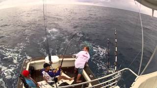 Record Blue Marlin catch - Richardsbay South Africa !!