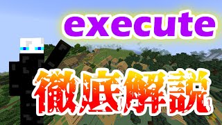 【Switch対応】最新版！初心者でもわかるexecuteコマンド徹底解説！前編