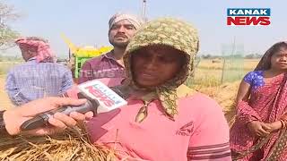 Ganjam Farmers In Distress: Crop Loss, Compensation, And The Plight Of Sharecroppers