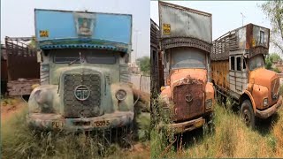 13 ट्रक एक साथ VIP नंबर के साथ। अलग-अलग मॉडल वह भी पुराने। vintage Tata truck