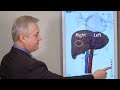 liver resection james ouellette md facs